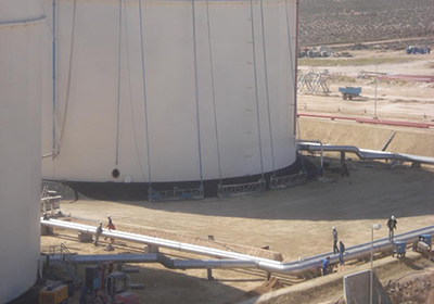 Descriptive Alt Text